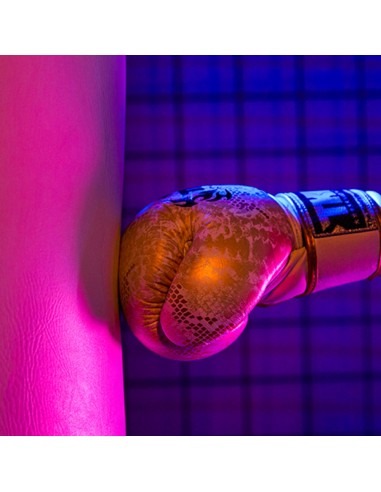 LDX50R | Panel LED RGBWW 63 W silencioso | Godox España