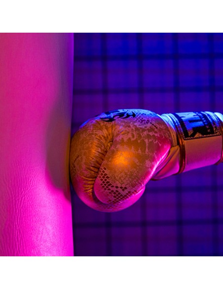 LDX50R | Panel LED RGBWW 63 W silencioso | Godox España