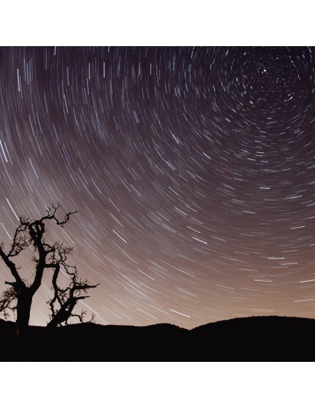 Godox XR-S | Receptor TTL para Sony 100 m | Godox España